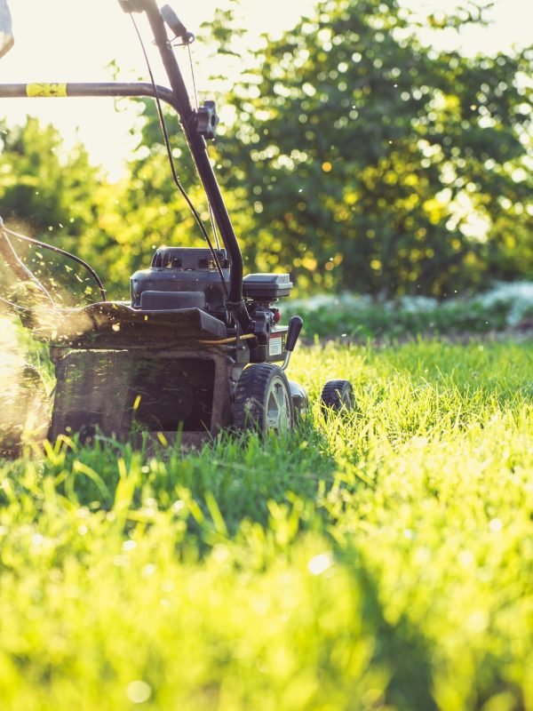 pexels_Lawn_Garden pexels_Lawn_Garden